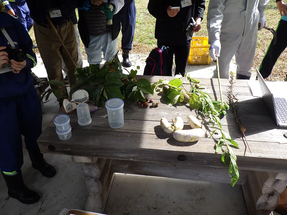 Environmental education