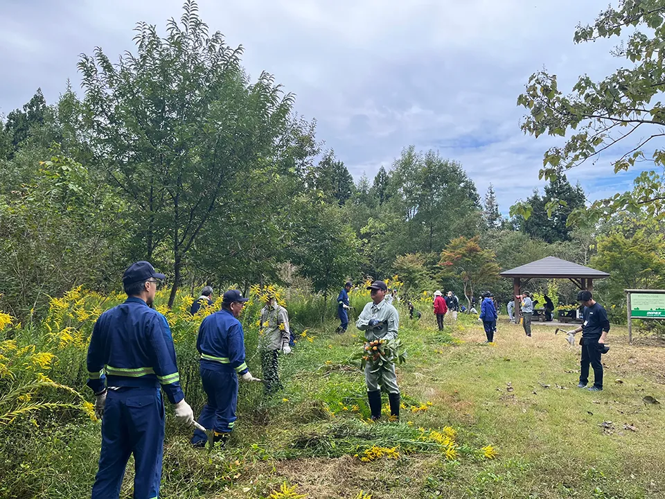 Planting trees and caring for the forest