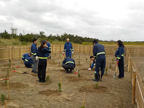 Tree-planting activity