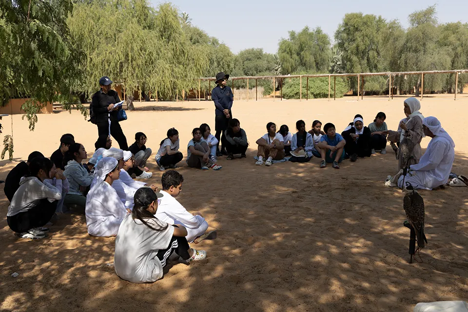 Falconry cultural experience